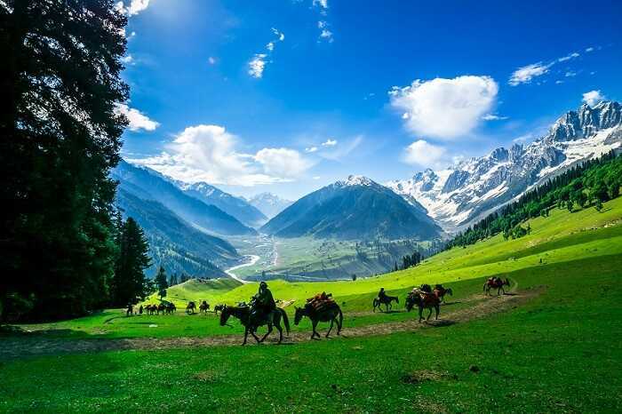 Sonamarg Glacier Tour